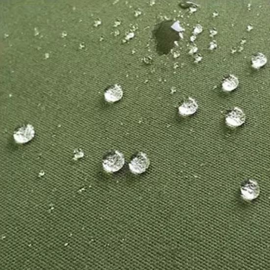 Trailer Cover Canvas best